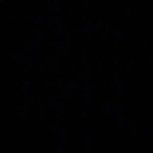 Meet your Posher, Jayden